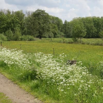 natuurrijk maaibeheer natuurrijk maaibeheer