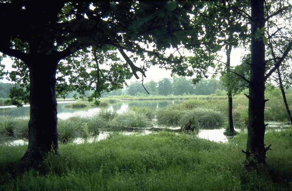 beekdal natuurontwikkeling