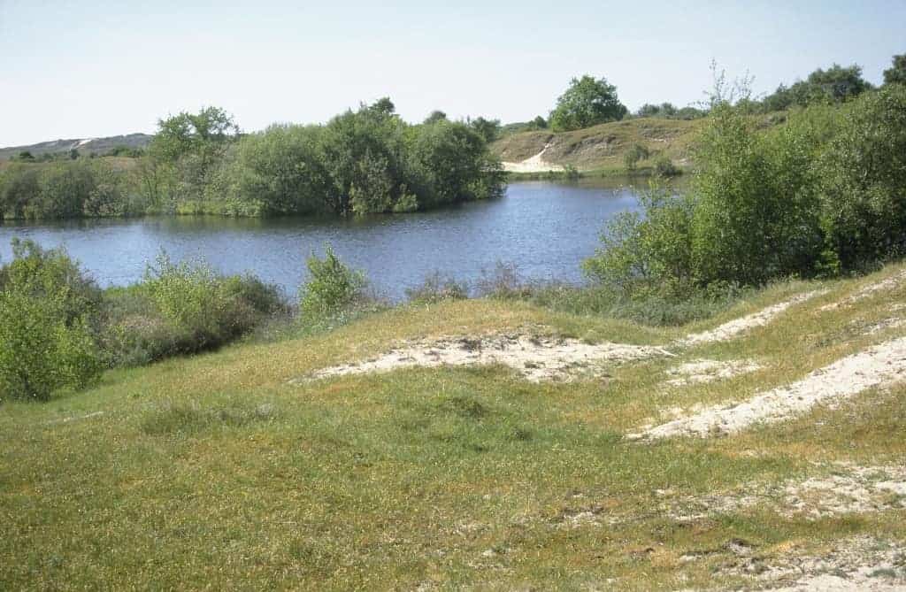 Gradienten overgangen ecosysteem