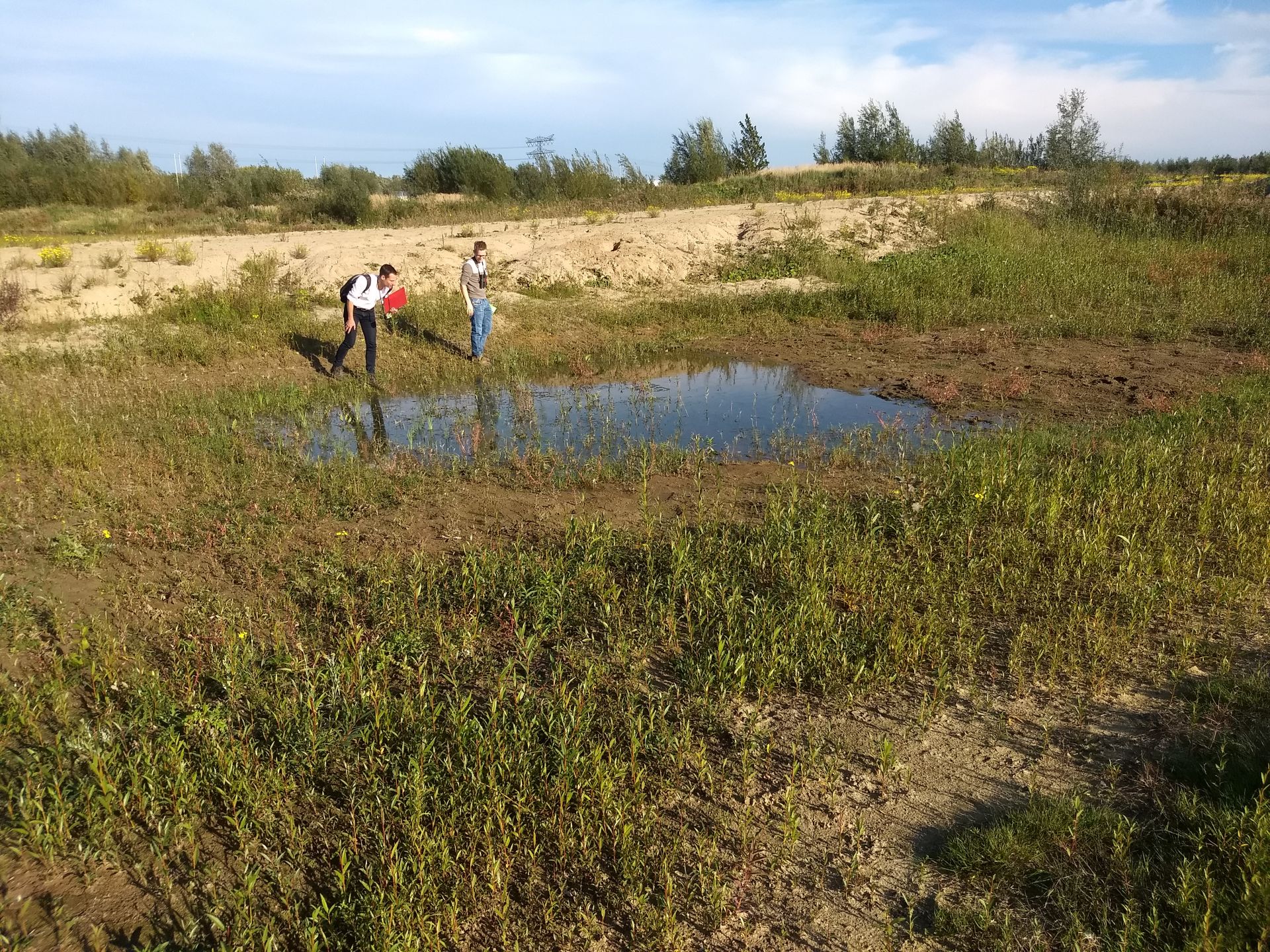 Cursus Tijdelijke Natuur Cursus Tijdelijke Natuur