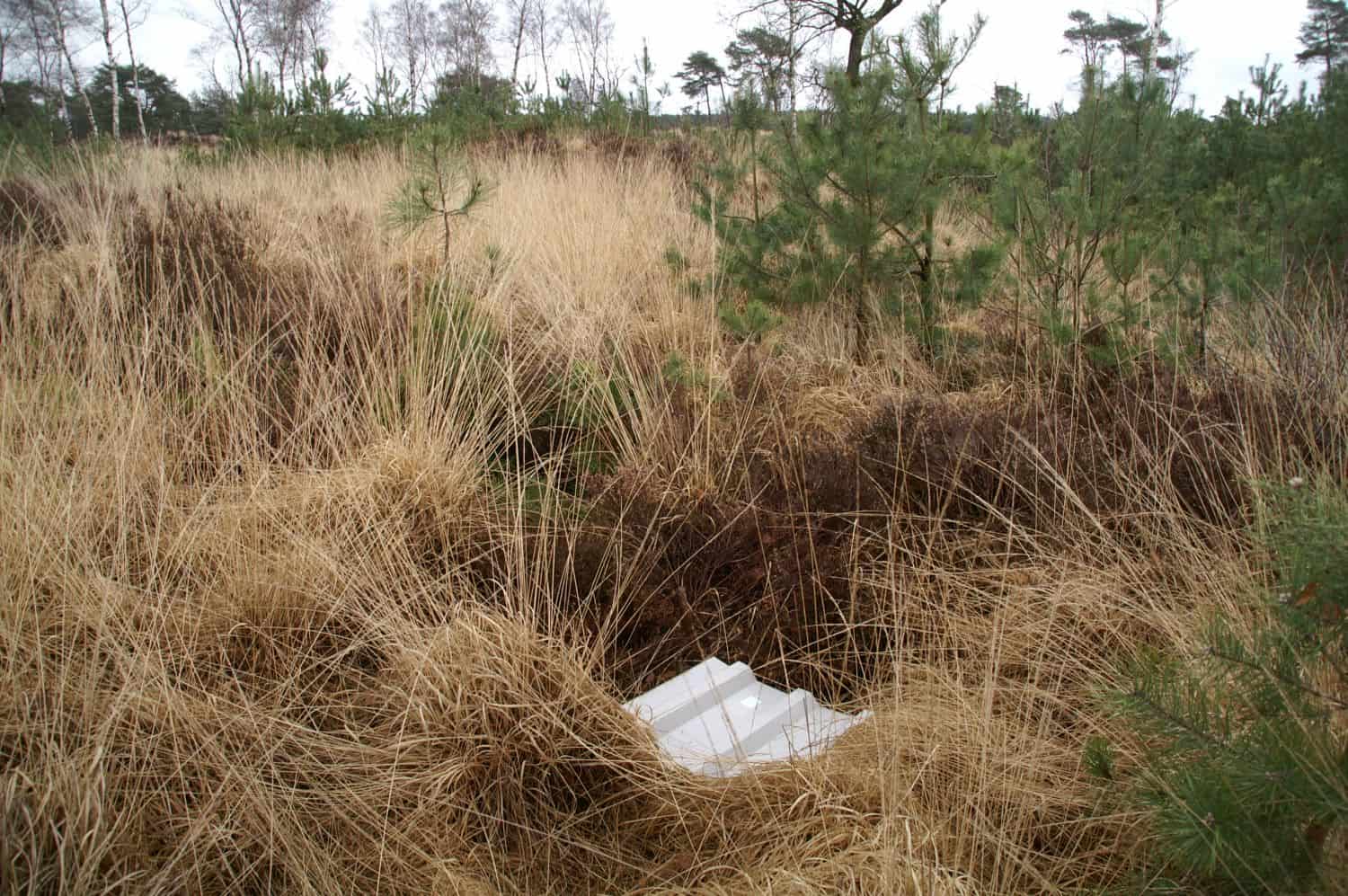 natuurmonitoring ecologische monitoring reptielenplaatje Natuurmonitoring reptielenplaatje