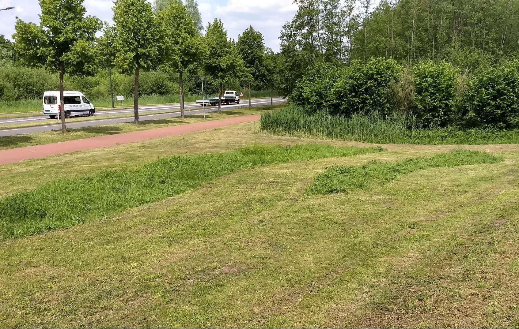 Gefaseerd maaibeheer Bermen gefaseerd maaien
