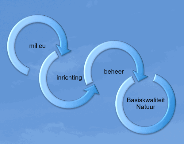 Basiskwaliteit Natuur bereik je door milieu, inrichting en beheer te herstellen Basiskwaliteit Natuur is het gevolg van goed milieu, goede inrichting en goed beheer