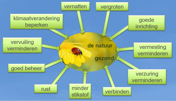 Maatregelen om de natuur weer gezond te krijgen Maatregelen om de natuur weer gezond te krijgen en Basiskwaliteit Natuur te bereiken
